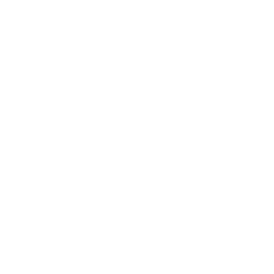Irys's animated logo